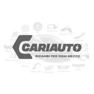 Cinghie di Distribuzione